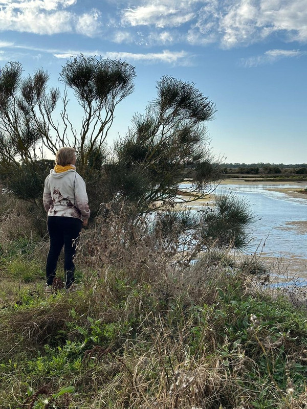 2024-11-24 12-59-13 (9)