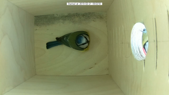 Untitled Project (Time 0_00_10;28)