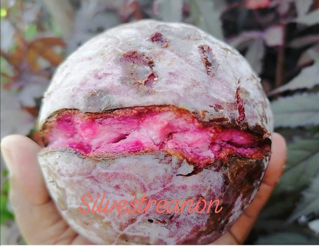 E9DCA5B7-7B46-4341-B655-7A68D3D8F540