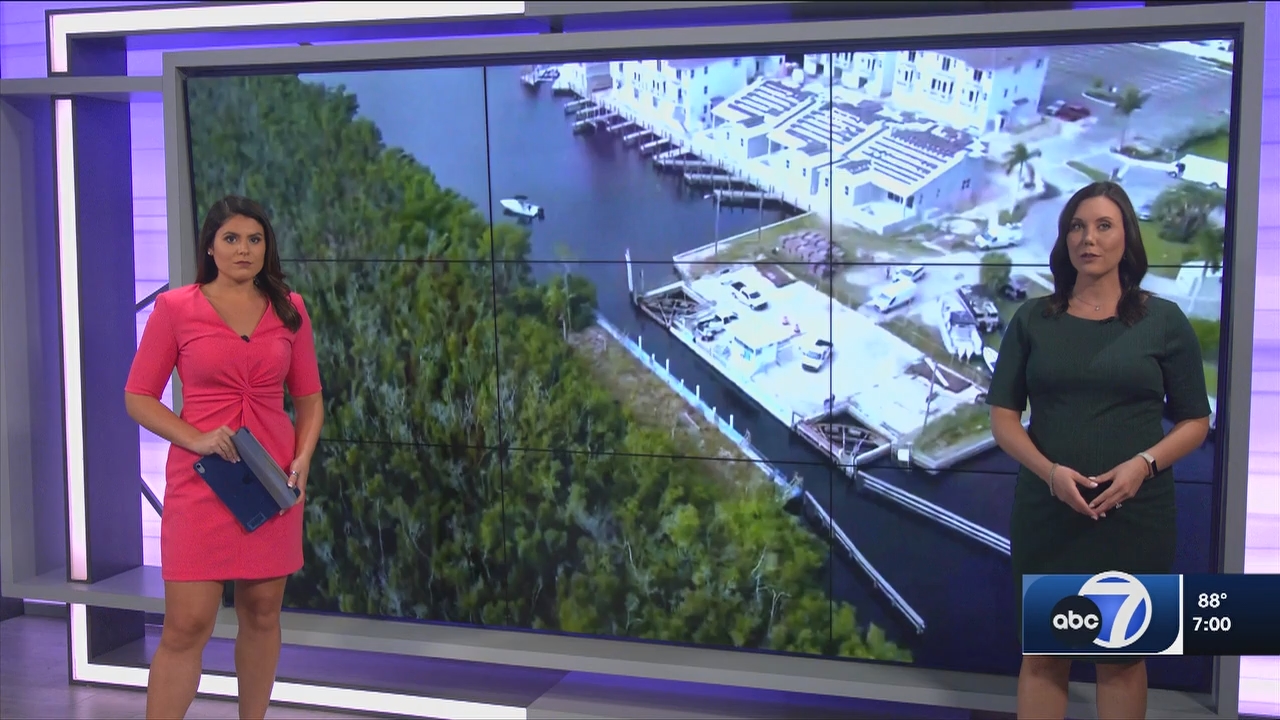 08.21 - 00.00.00 - ABC7 7O'Clock News  ᴺᵉʷ. No Description Info.ts_snapshot_02.28.048