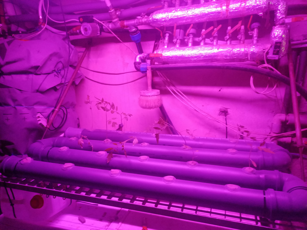 IMG_20241011_140658_042