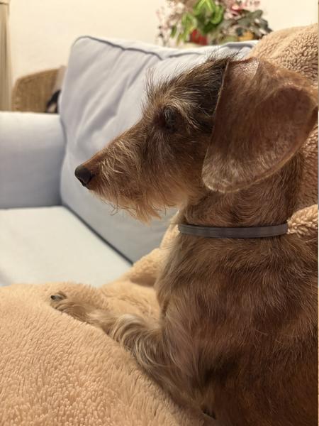 [Image: IMG-0921.jpg]