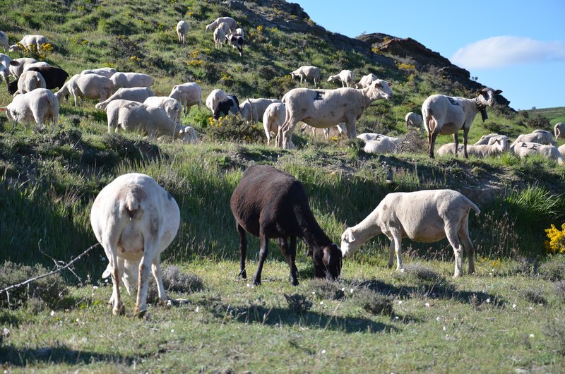 BRETUN-25-5-2013 - Soria y sus pueblos-2010/2013/2020 (27)