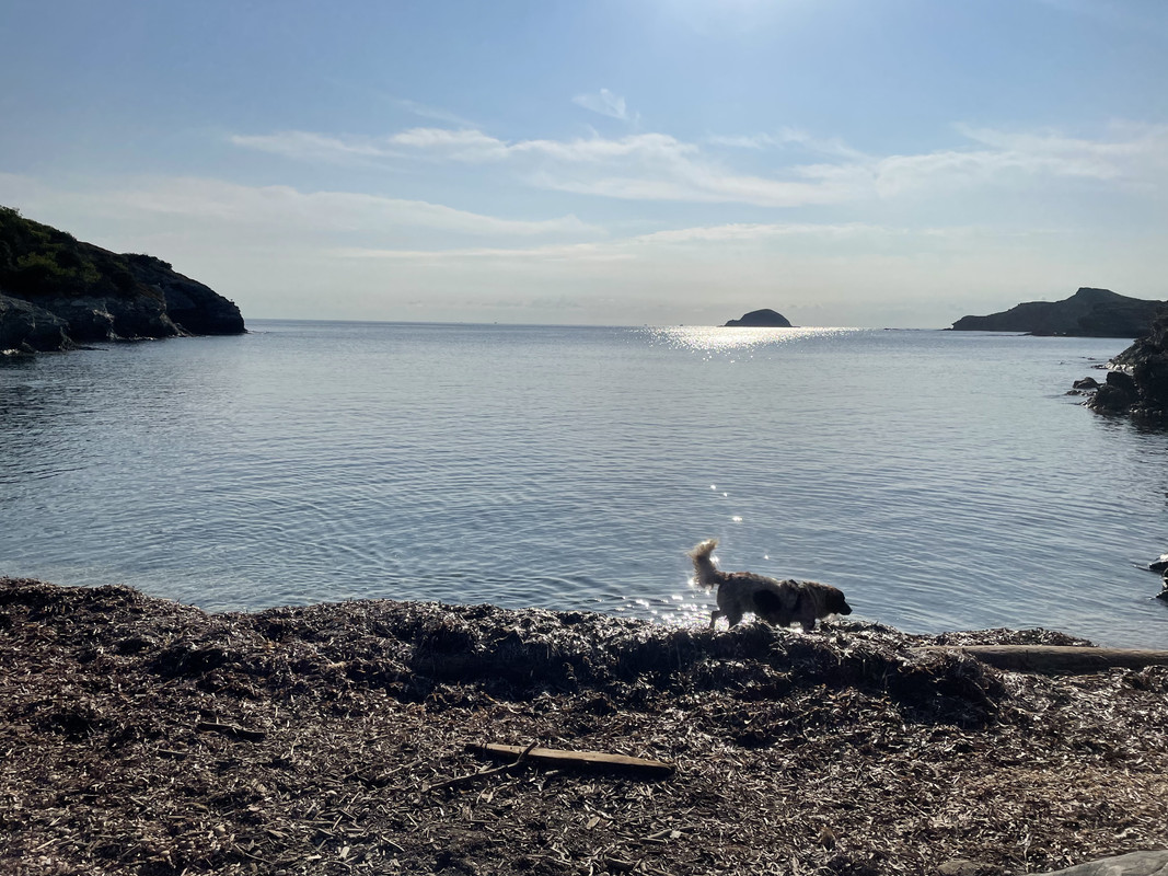 EC841B47-071E-429E-8220-BF3F38B32F2F