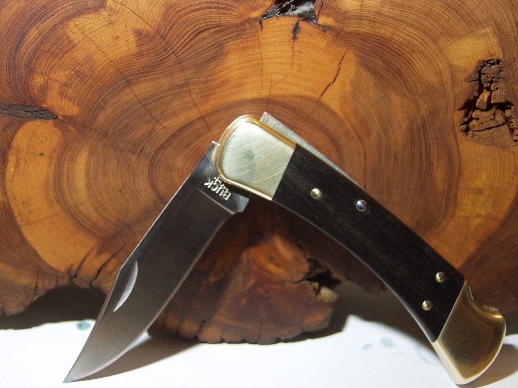 Buck-2019-Ebony-Crelicam-003.jpg