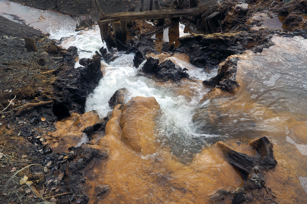 PA062010.jpg