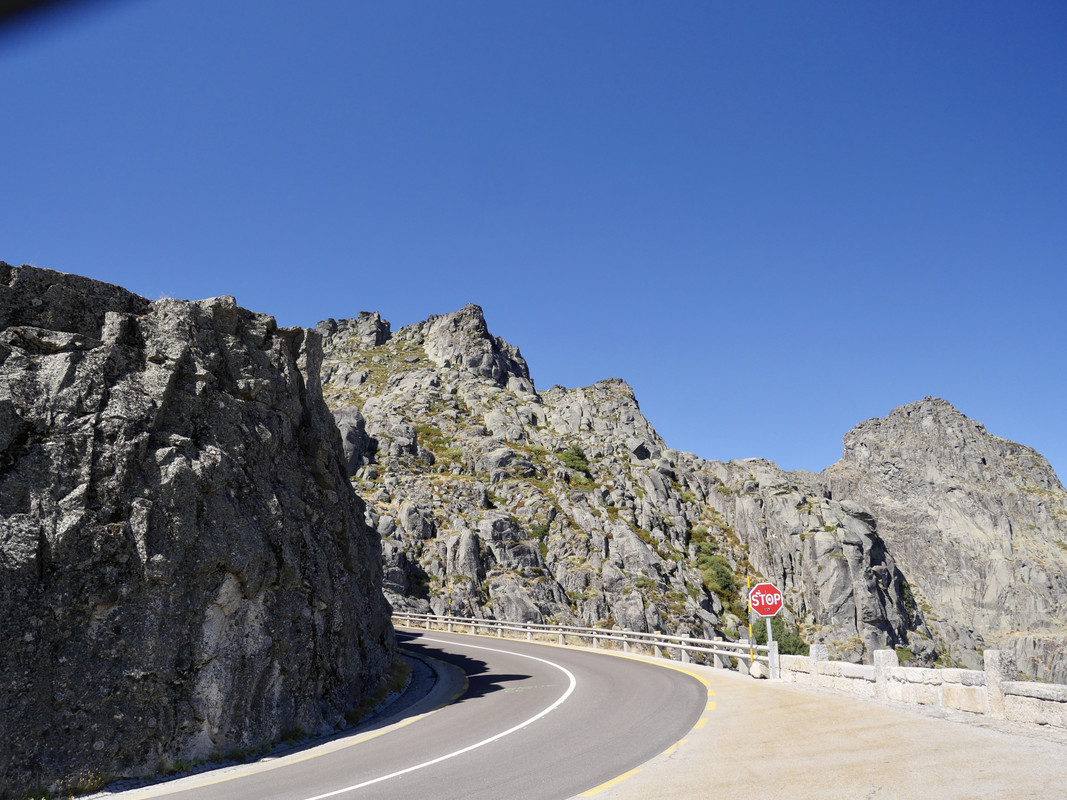 D4CA43B9-DD29-42DC-8E93-277153FFD499