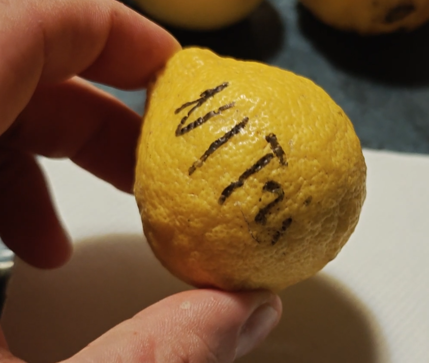 Citrus Tri Voss whole