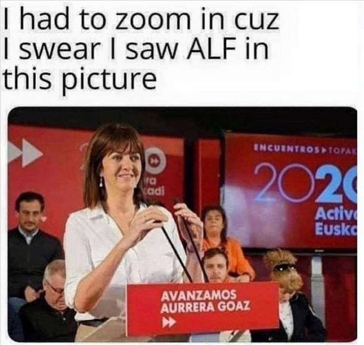 when-you-zoom-in.jpg