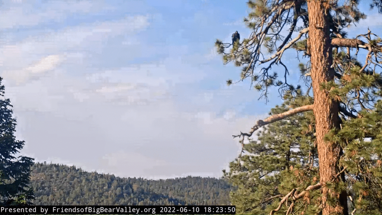 Webp.net-gifmaker (14)