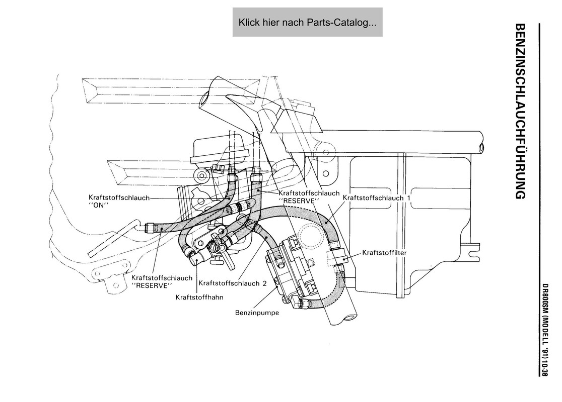 Schlauchgewürm 2 (BJ 91)