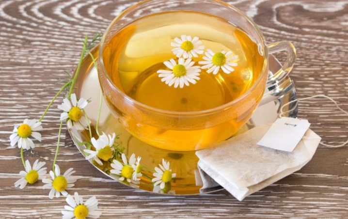 ¿Cómo hacer planta de manzanilla con un saquito de té?