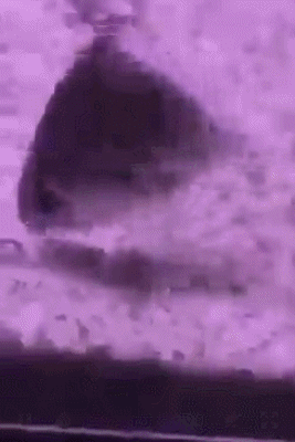 GIF-18-05-2023-20-12-21.gif