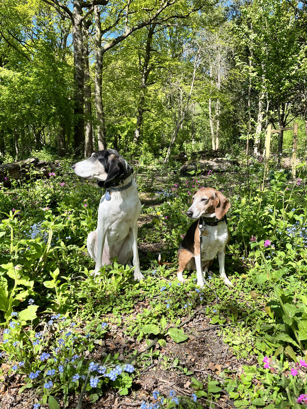 8CD33360-98A2-49DF-A5CA-2E4F1FEB6A33