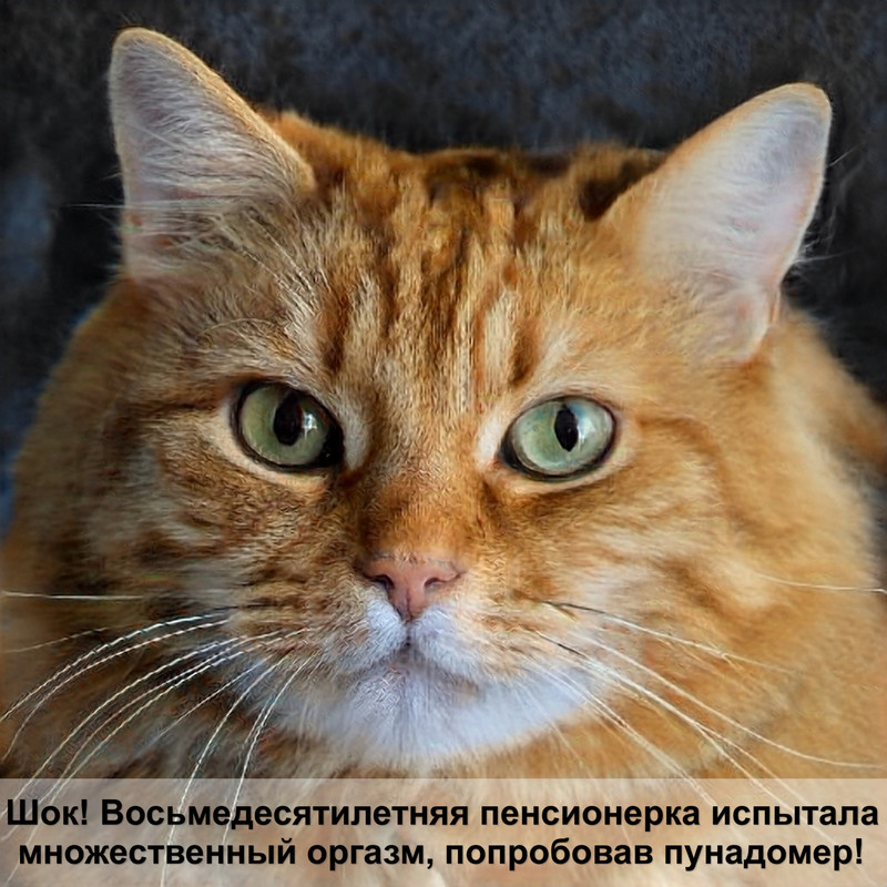 аквагрим кошка пошагово