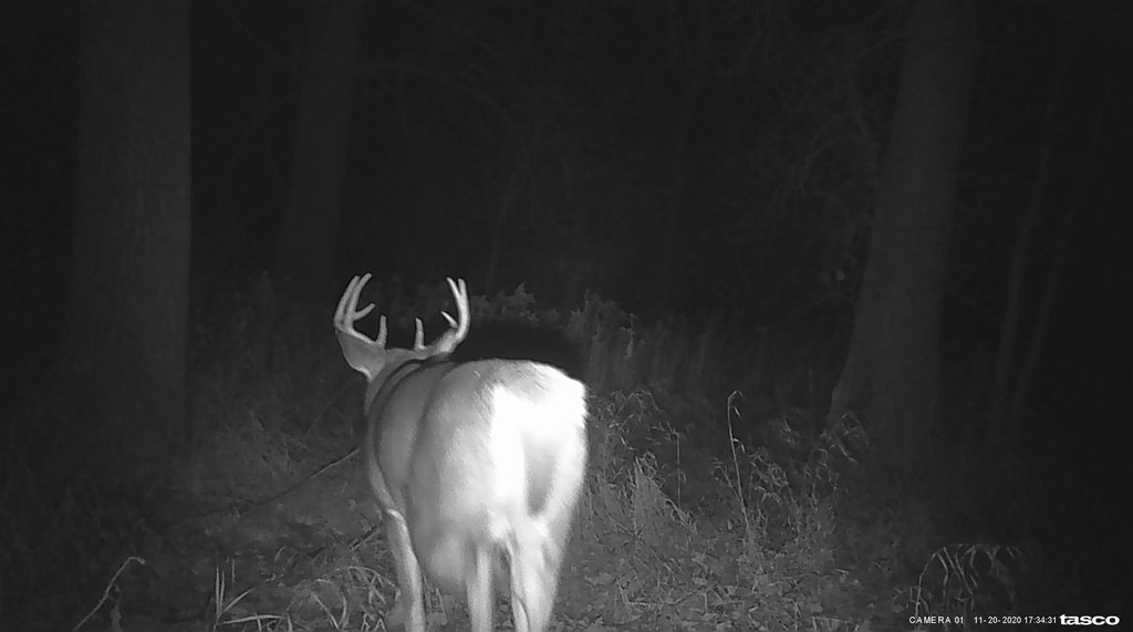 1EDD16D3-EEF3-4CC9-A151-62CBEFD9292E