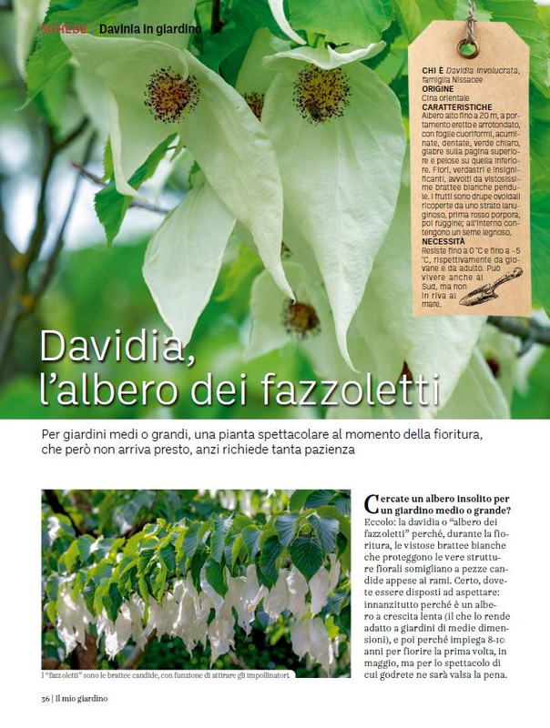 Il Mio Giar GIu-Lug 2024 (7)