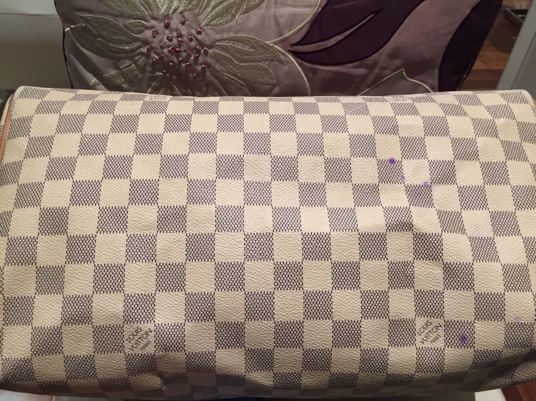 Louis Vuitton Bag Stain Removal