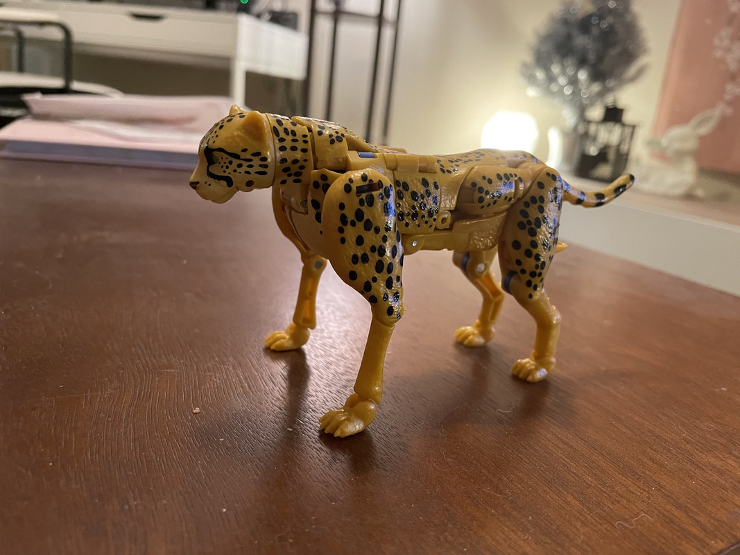 Netflix-Cheetor-02