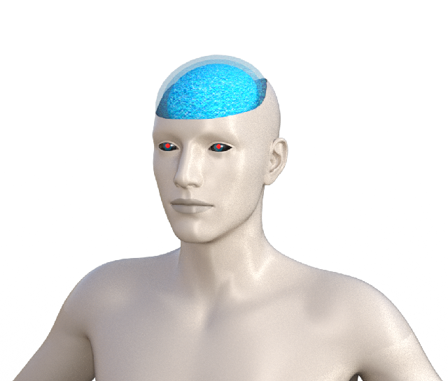  borg test 1 