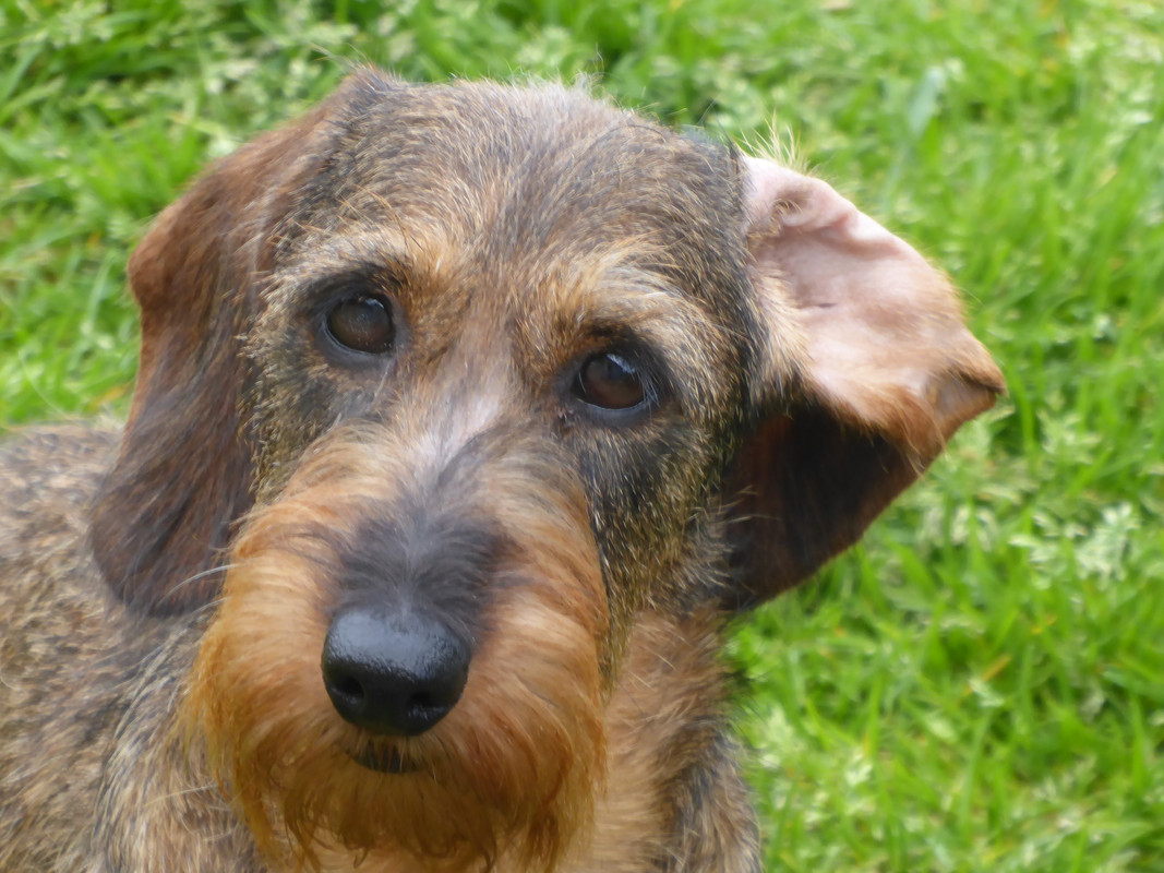 [Image: P1020688.jpg]