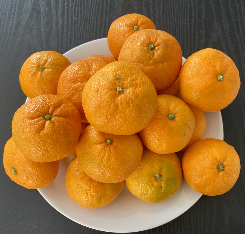 BB6DED5D-3E14-41AD-8B90-B09BE9077B37