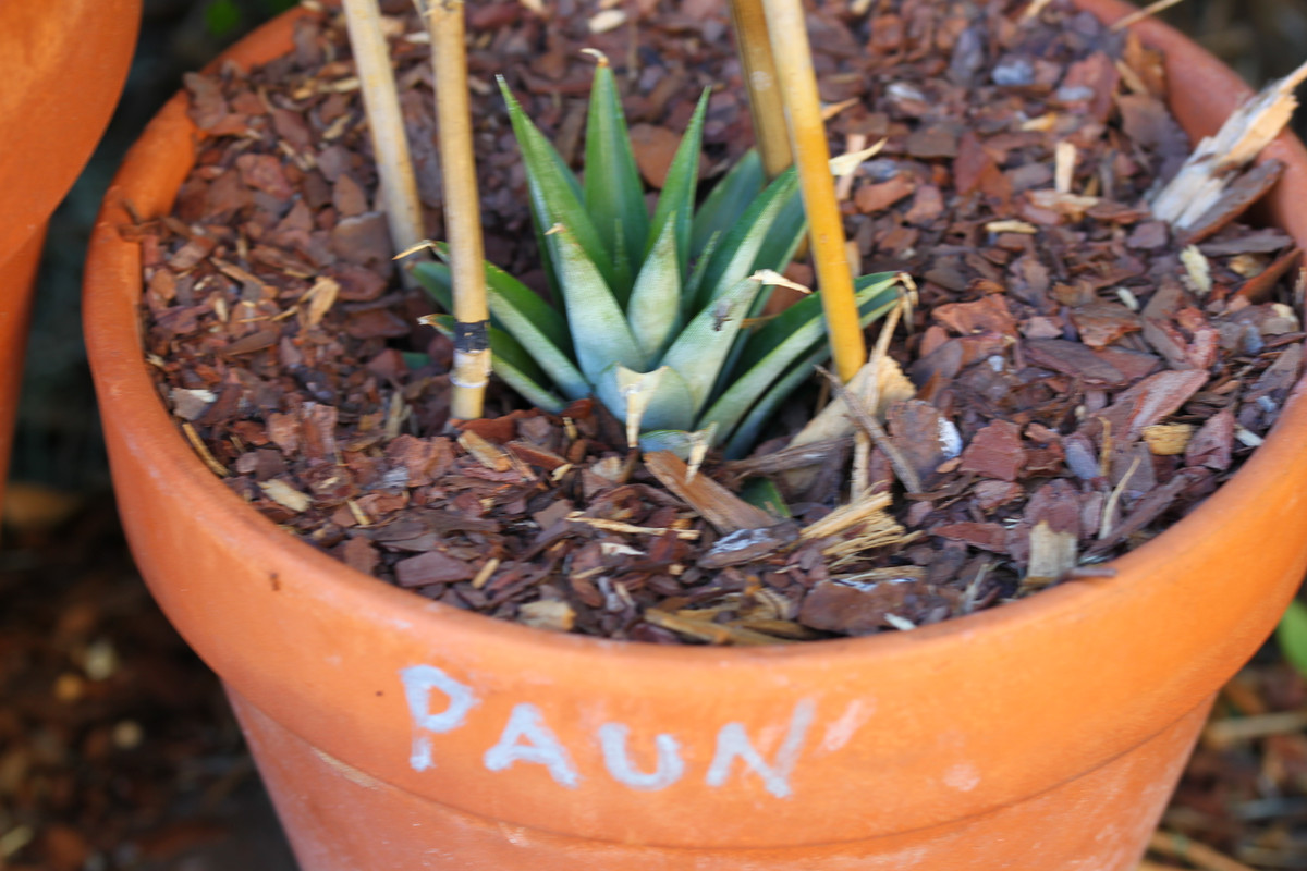 31532F58-C3AF-4C40-8F45-FBAC118506A4