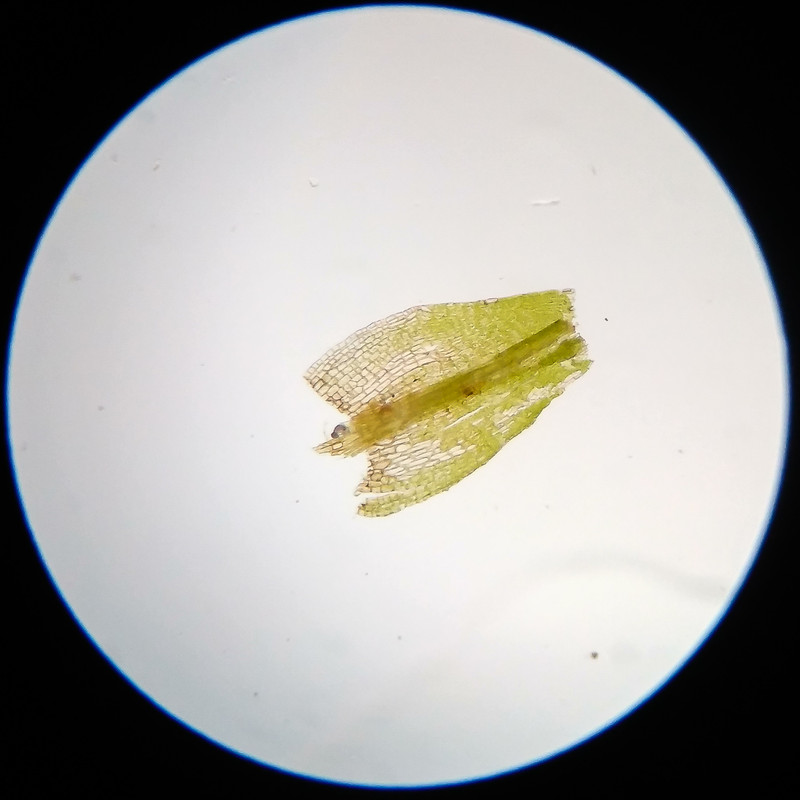 IMG 20250617 122904 HDR