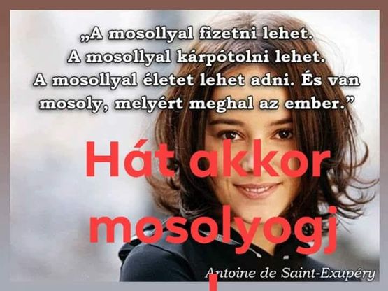 https://i.postimg.cc/BQtd2TfN/a-mosollyal.jpg