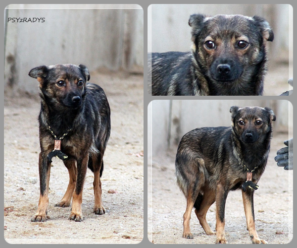 BeFunky-collage (26)