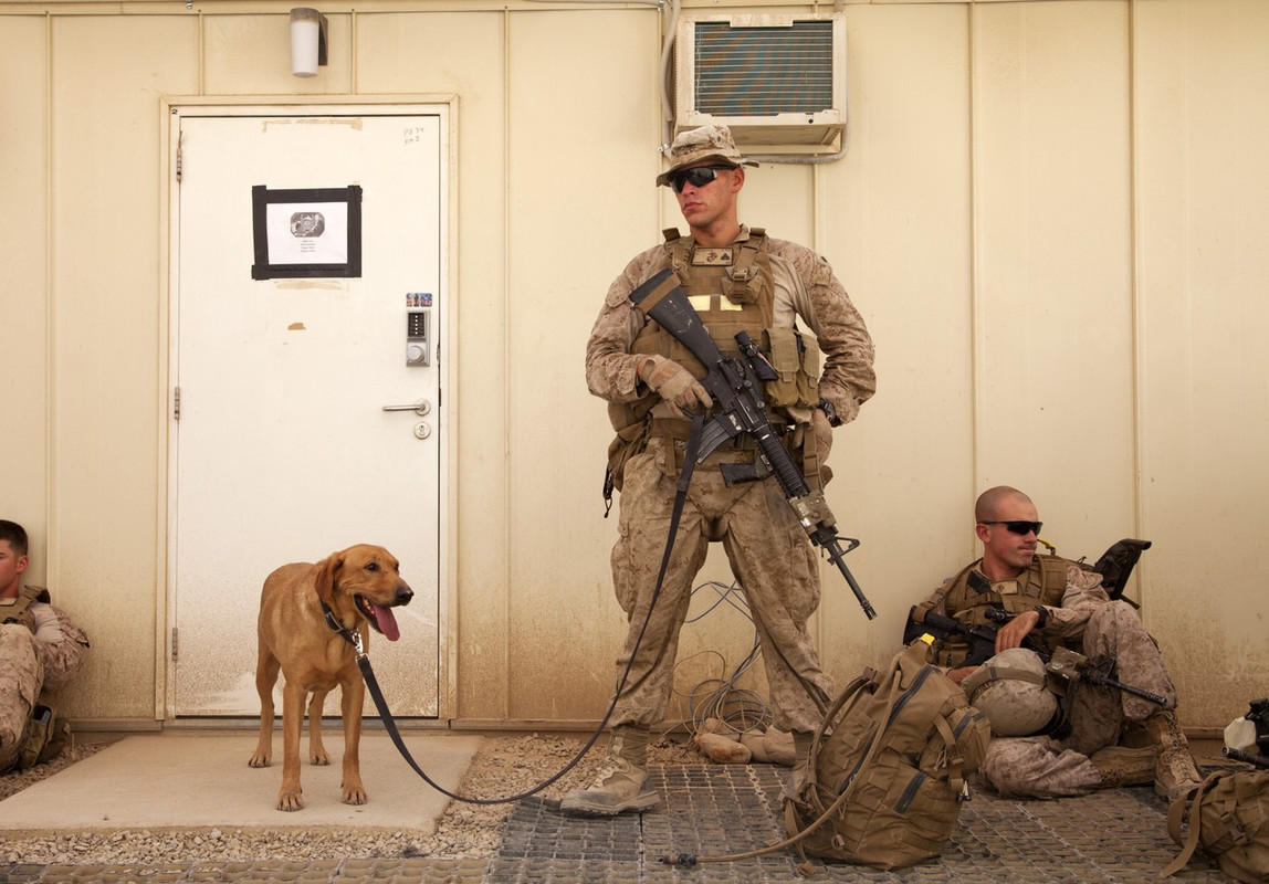 USMC K9  Marine Air Ground Task Force Crisis Response Central Co