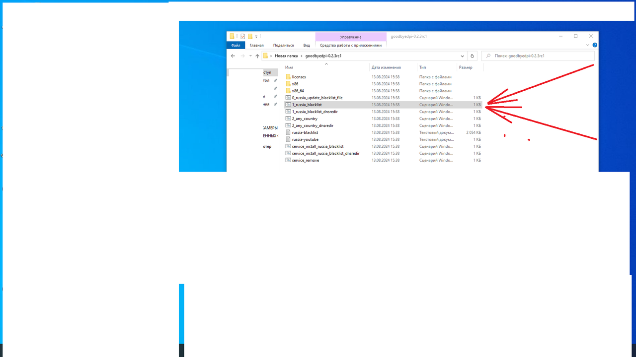 Безымянный1