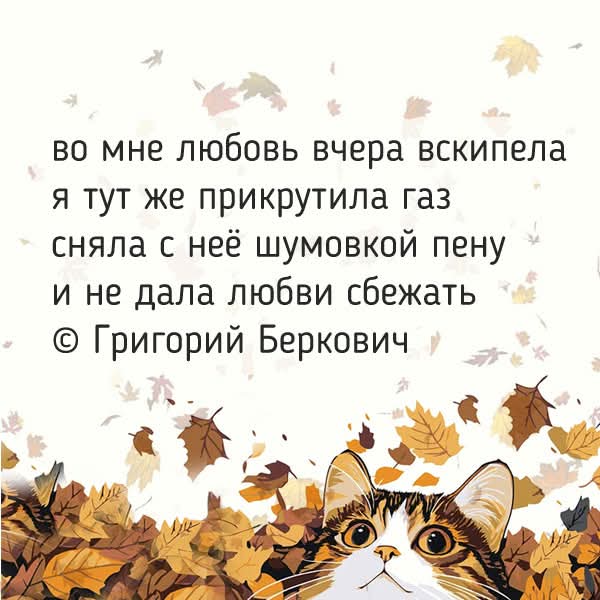 FB IMG 1760859810599