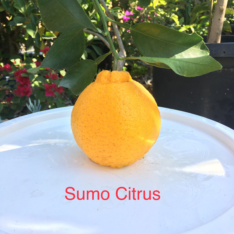 FC0E4CEE-FE22-4440-85EF-760989672CE1