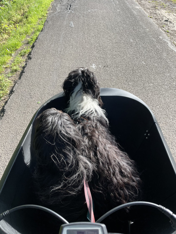 D8BFF5C6-5DD9-4B2B-B18C-5CE08A2F6C35