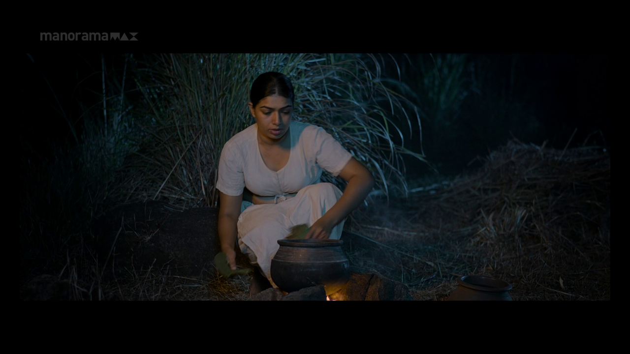 vlcsnap 2026 02 02 13h49m09s072