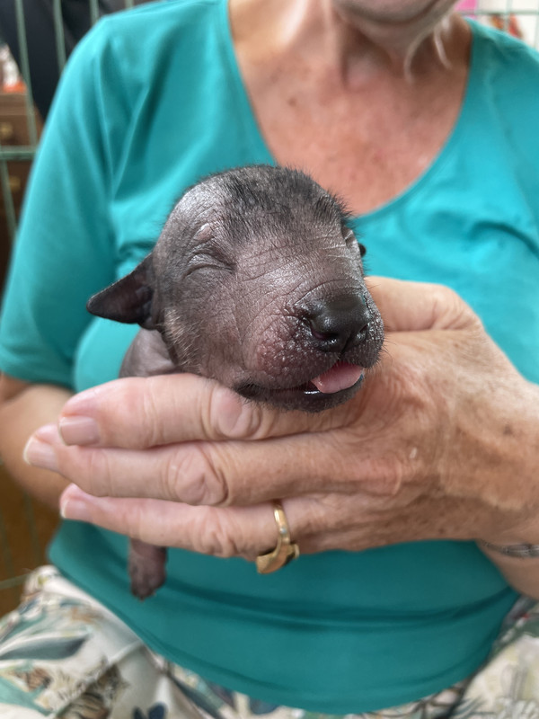 3B45532B-0698-4F54-85A3-FB28D104E792