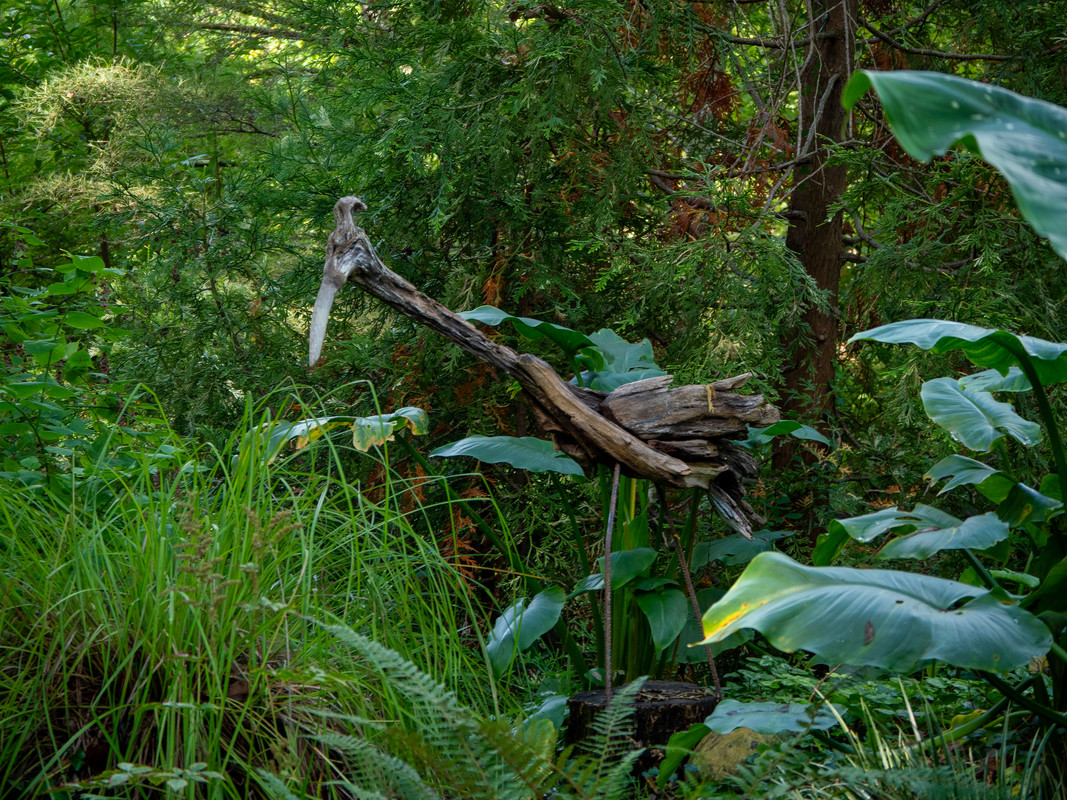 Grand oiseau en bois flotté