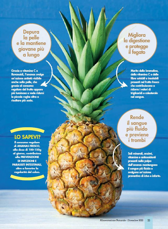 Alim Nat Dic 2022 (6)