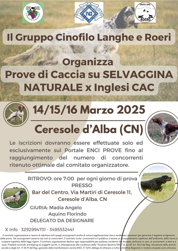 Marrone e Beige Moderno Salone per Unghie Volantino(7)