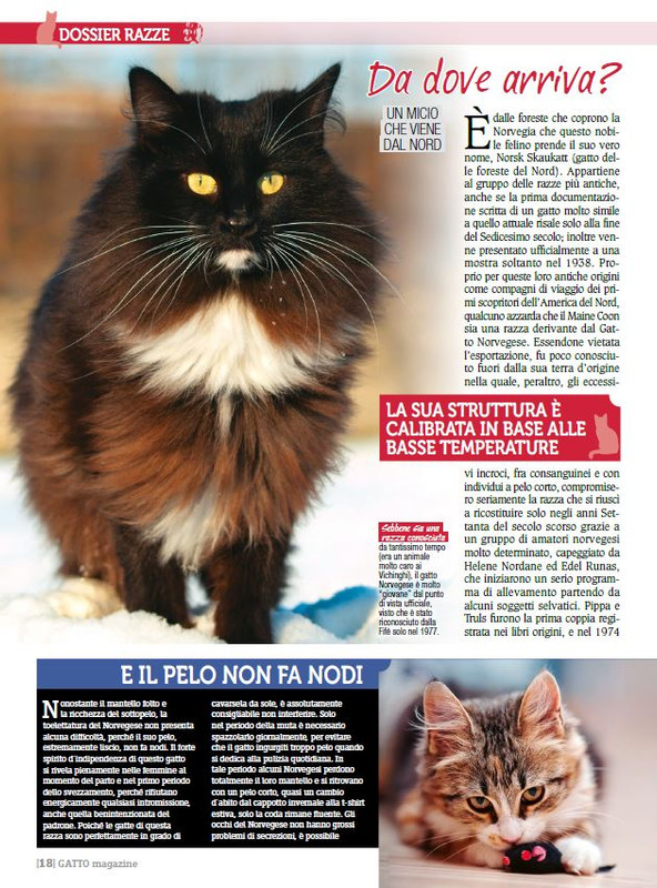 Ga Ma Dic 2017 - Gen 2018 (3)