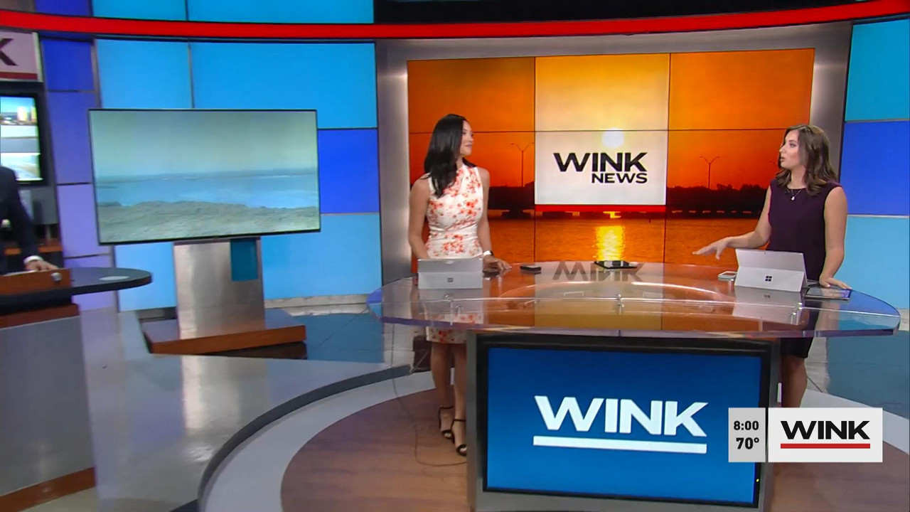 05.22 - 12.00.00 - WINK News at 7 00 a.m. Saturday..ts_snapshot_00.55.03_[2021.05.22_17.13.04]