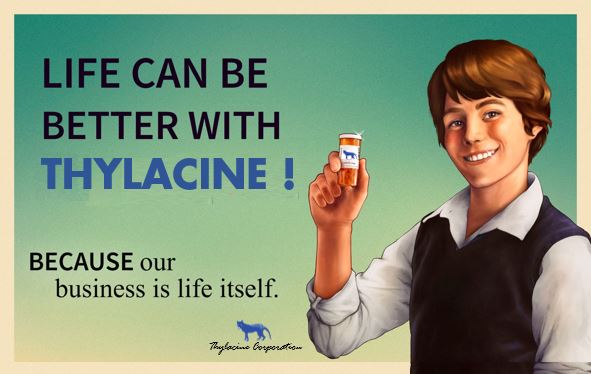 Thylacine Publicité