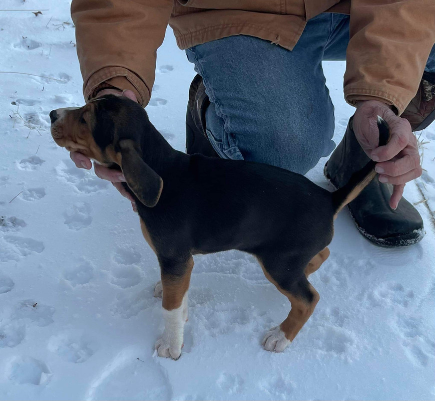 2F8B7404-C4D1-4EE9-ADD4-770DFB2A7E05