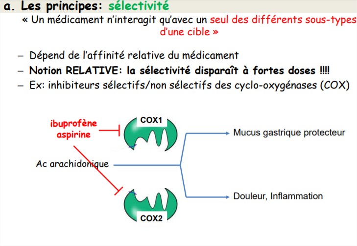 Galénique et voies d’administrations - Google Chrome