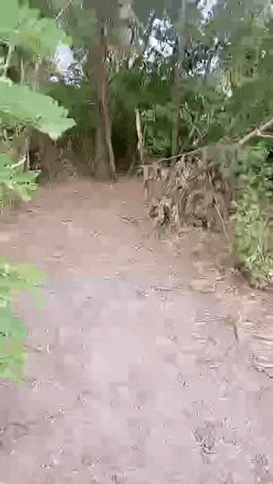 https://i.postimg.cc/BQwvT4Wd/video-2026-09-08-13-49-17-(1).gif
