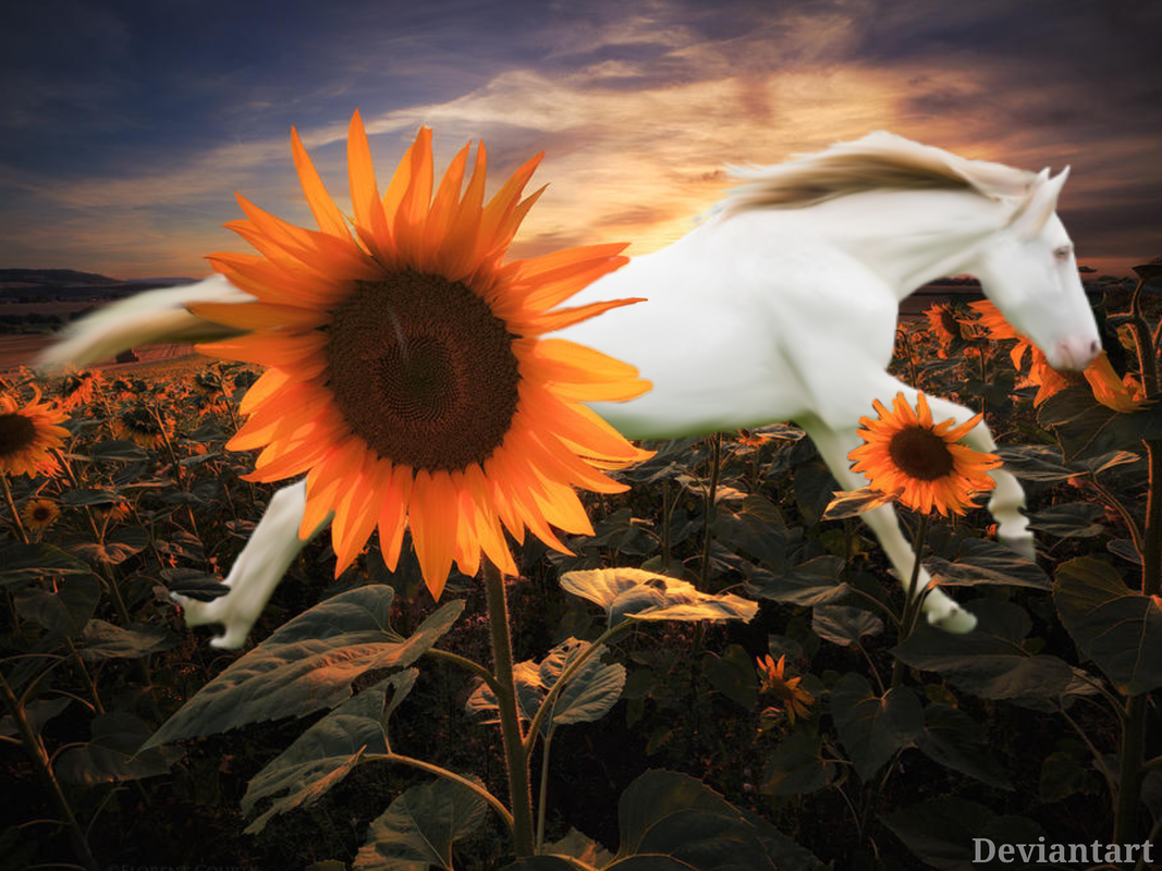 2fd4b9fb 8d21 418b Bd5e 6e94f40d67c0 Postimages 2fd4b9fb 8d21 418b Bd5e 6e94f40d67c0 Postimages