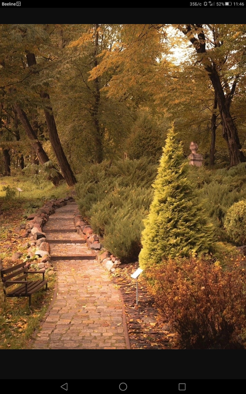 Screenshot_2023-10-29-11-46-51