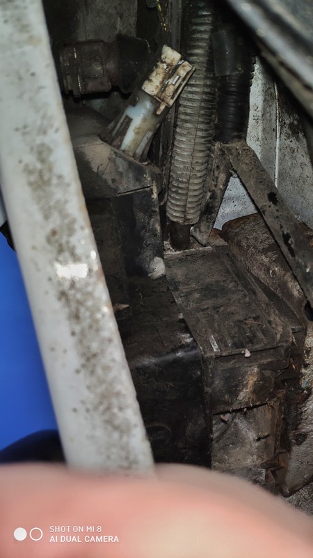 89001615_221879419006492_5152979788964560896_n