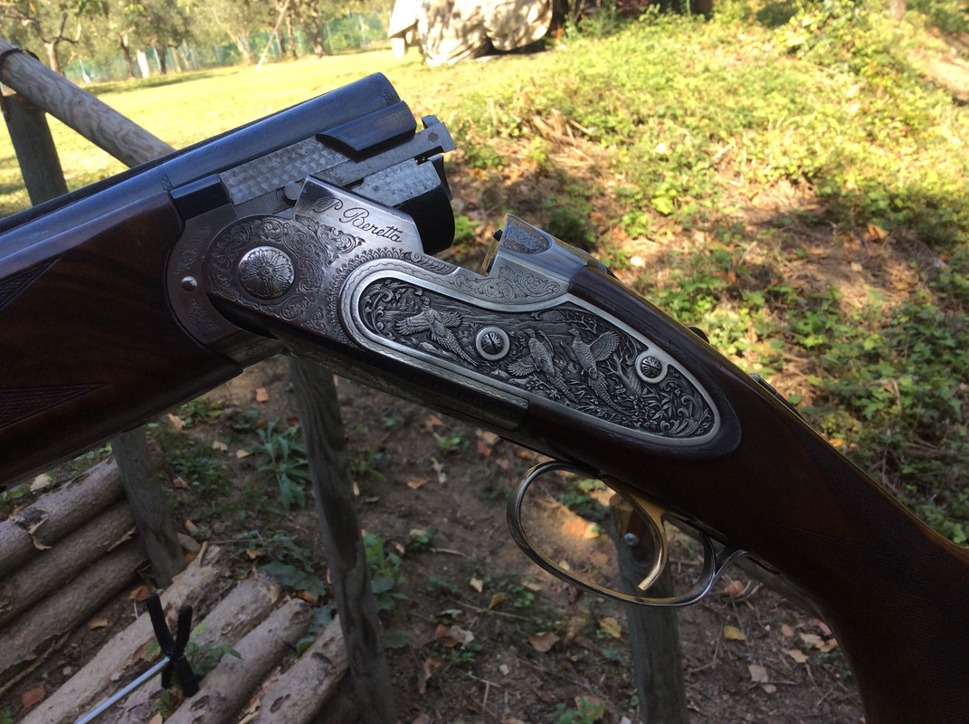 218AEC8D-BD19-4A7C-B245-D9E31FE4F249